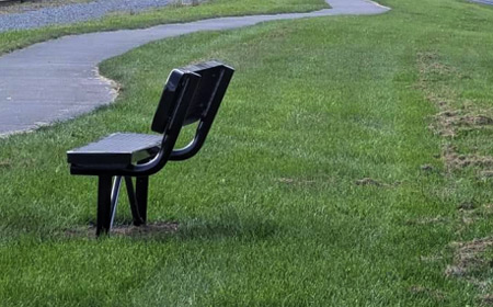 Linear Park Benches