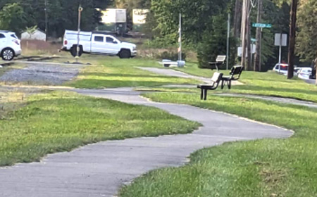 Linear Park Benches