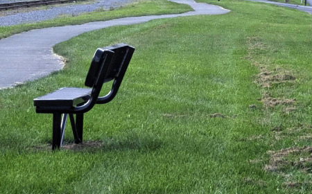 Linear Park Benches