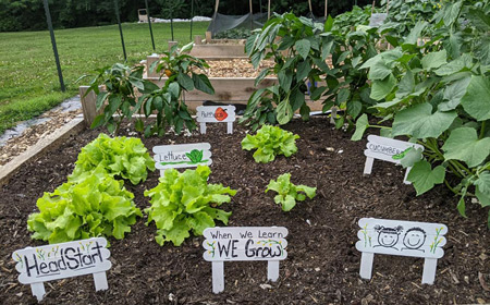 Mount Union Area Community Garden